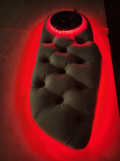 LED-lysringer til høyttalere 5,25"